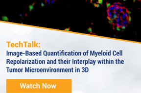 Image-Based Quantification of Myeloid Cell Repolarization and their Interplay within the Tumor Microenvironment in 3D