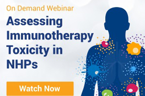 Assessing Immunotherapy Toxicity in NHPs