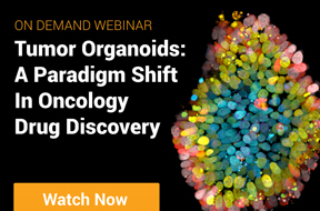 Tumor Organoids: A Paradigm Shift in Oncology Drug Discovery