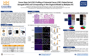 AACR20 Poster 2798: Profiling the Cancer Stem Cell Components of PDX and PDX-Derived Organoids