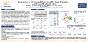 Development of a Humanized Mouse Model for Direct Evaluation of Anti-Human PD-L1 Antibodies