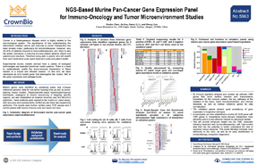 AACR20 Poster 5963: Characterizing Preclinical Murine I/O Model Tumor-Immune Interactions