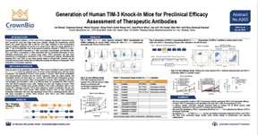 EORTC17 A203: Evaluate Human-Specific TIM-3 Immunotherapeutics In Vivo