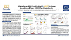 EORTC17 A207: Evaluate the Efficacy of Human OX40 Therapeutics and Combination Regimens In Vivo