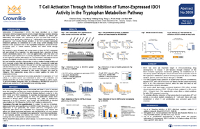AACR18 Poster 3809: IDO1 Inhibition Assay Measuring Kyn Levels Developed