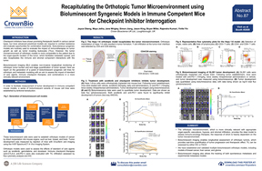 AACR19 Poster 87: Bioluminescent Imaging of Orthotopic Syngeneic Models