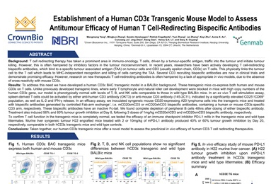 AIS18 Poster: Bispecific Antibody Evaluation via CD3E Transgenic Model