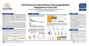 EORTC17 B002: Developing Novel Immuno-Oncology Assays for Anti-CD47 Research