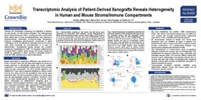 EORTC17 B209: PDX as Surrogate Models for TME Investigation
