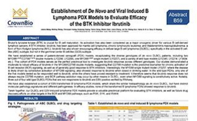 AACR17 New Horizon B21: Evaluate and Quantify Two-Drug Combination Effects In Vitro