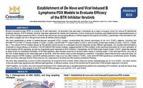 AACR17 New Horizon B59: Clinically Relevant DLBCL PDX Models for BTK Inhibitor Testing