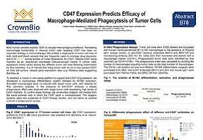 AACR17 New Horizon B78: Disrupting the CD47-SIRPa Anti-Phagocytic Axis: A Novel I/O Approach