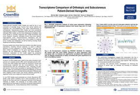 AACR-NCI-EORTC 19 Poster C118: Implantation Site Effects on PDX
