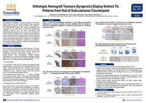 ENA18 Poster 313: Orthotopic Homograft Tumours Display Distinct TIL Patterns