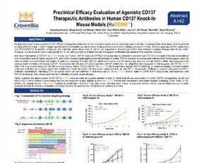 Humanized CD137 Models for Preclinical Drug Development