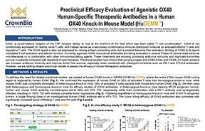 Humanized OX40 Mouse Models for Preclinical I/O Studies