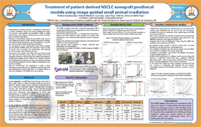 Treatment of Patient-Derived NSCLC Xenograft Preclinical Models Using