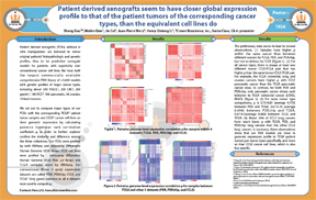 Patient-Derived Xenograft Seem to Have Closer Global Expression Profile to that