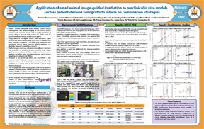 Application of Small Animal Image-Guided Irradiation to Preclinical In Vivo