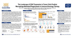 Targeting CD47: A Novel Immunotherapy Approach Against Cancer
