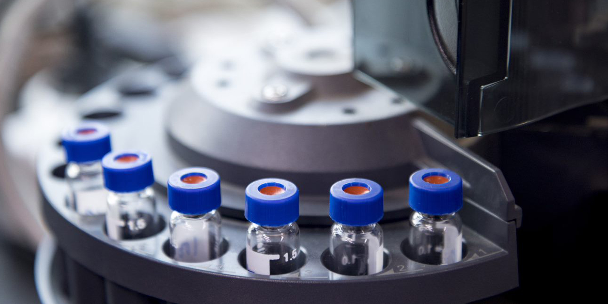 Advancing Proteomics Profiling in Tumor Xenograft Models: Overcoming Challenges and Accelerating Oncology Drug Discovery