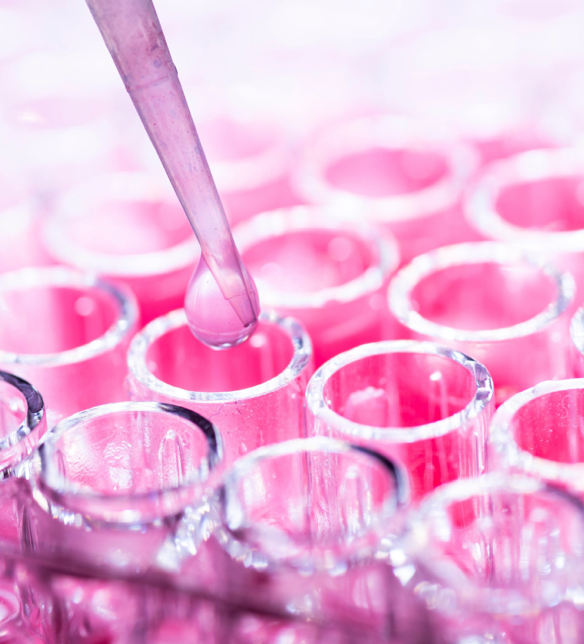 Drug Profiling Using Human Precision Cut Cancer Tissue Slices