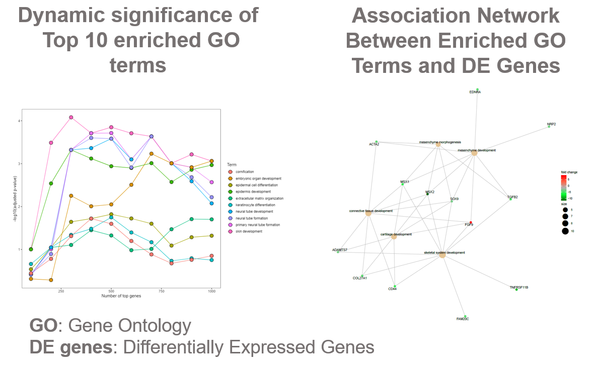 Gene Ontology Enrichment Analysis on Differentially Expressed Genes or Genes of Interest