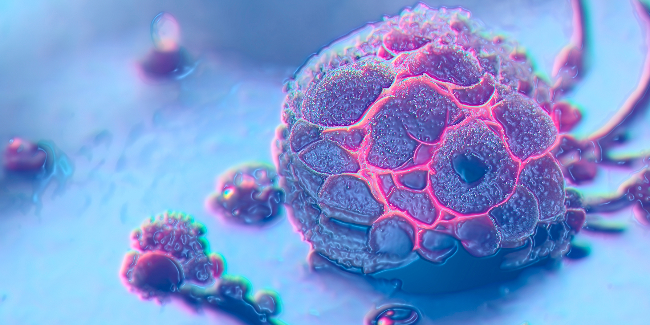 Licensing Biological Materials: Crucial Considerations for Preclinical Researchers