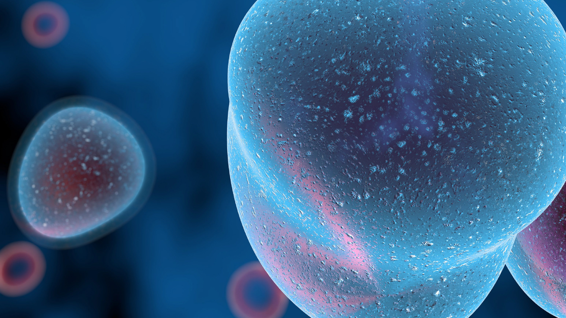 A Novel Approach to Overcoming Limitations of T Cell Immunotherapies